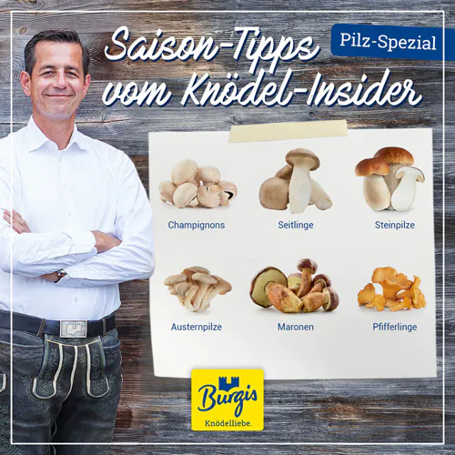 Knödel und Pilze: Saison-Tipps vom Knödelinsider