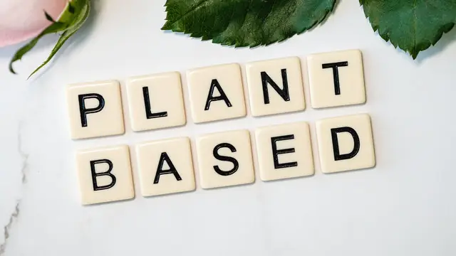 Plant Based Ernährung
